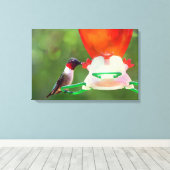 Ruby Throated Hummingbird Canvas Afdruk (Insitu (Houten vloer))