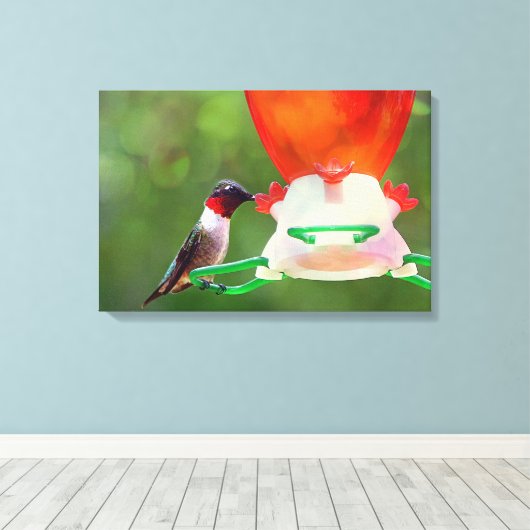 Ruby Throated Hummingbird Canvas Afdruk (Insitu (Houten vloer))