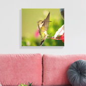 Ruby-Throated Hummingbird Canvas Afdruk (Insitu (Woonkamer))