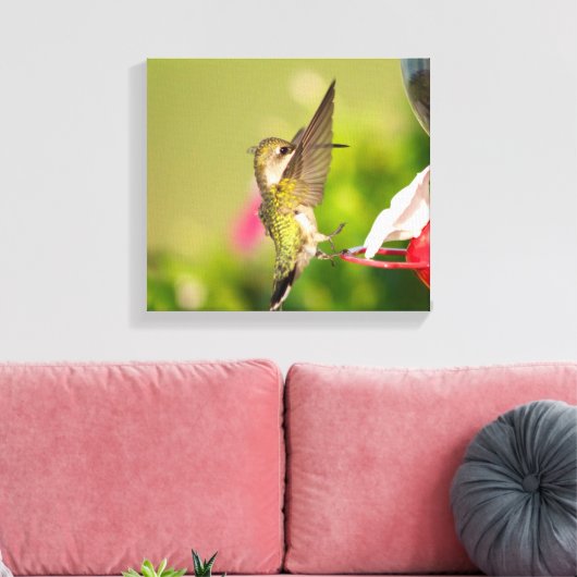 Ruby-Throated Hummingbird Canvas Afdruk (Insitu (Woonkamer))