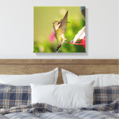 Ruby-Throated Hummingbird Canvas Afdruk (Insitu (Slaapkamer))