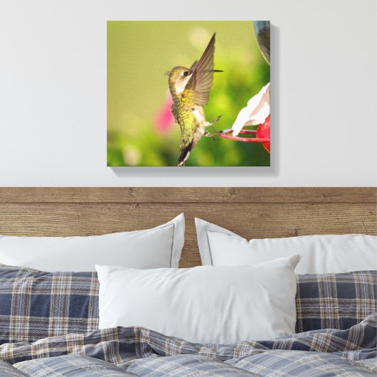 Ruby-Throated Hummingbird Canvas Afdruk (Insitu (Slaapkamer))