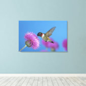 Ruby-throated Hummingbird Canvas Afdruk (Insitu (Houten vloer))