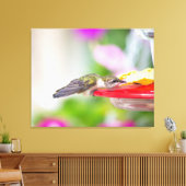 Ruby-Throated Hummingbird Canvas Afdruk (Insitu (Woonkamer))