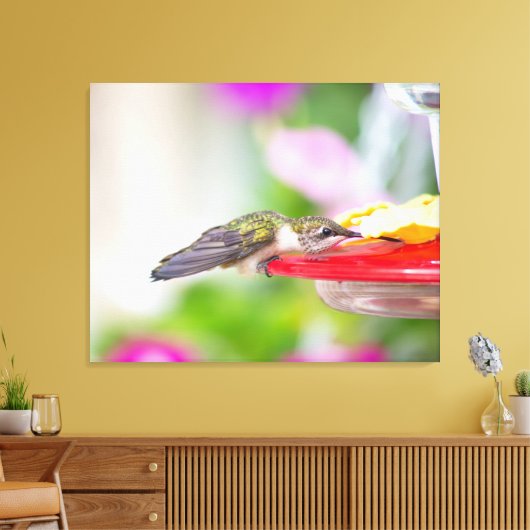 Ruby-Throated Hummingbird Canvas Afdruk (Insitu (Woonkamer))