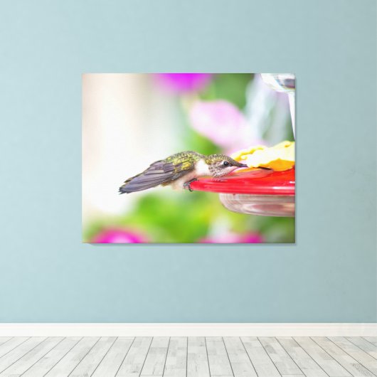 Ruby-Throated Hummingbird Canvas Afdruk (Insitu (Houten vloer))