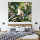 Ruby-Throated Hummingbird Canvas Afdruk (Insitu (Slaapkamer))