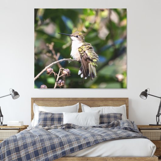 Ruby-Throated Hummingbird Canvas Afdruk (Insitu (Slaapkamer))