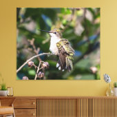 Ruby-Throated Hummingbird Canvas Afdruk (Insitu (Woonkamer))