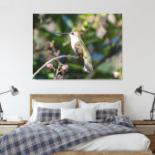 Ruby-Throated Hummingbird Canvas Afdruk (Insitu (Slaapkamer))