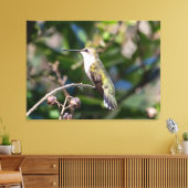 Ruby-Throated Hummingbird Canvas Afdruk (Insitu (Woonkamer))