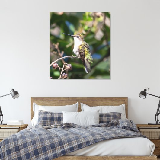 Ruby-Throated Hummingbird Canvas Afdruk (Insitu (Slaapkamer))