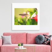 Ruby-Throated Hummingbird Canvas Afdruk (Insitu (Woonkamer))