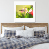 Ruby-Throated Hummingbird Canvas Afdruk (Insitu (Slaapkamer))
