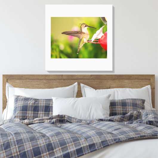 Ruby-Throated Hummingbird Canvas Afdruk (Insitu (Slaapkamer))