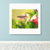 Ruby-Throated Hummingbird Canvas Afdruk (Insitu (Houten vloer))