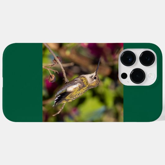 Ruby-Throated Hummingbird Case-Mate iPhone Case (Achterkant (horizontaal))