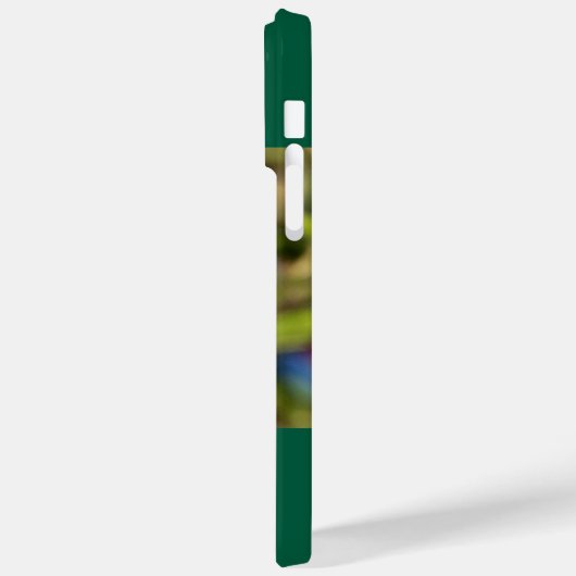 Ruby-Throated Hummingbird Case-Mate iPhone Case (Achterkant / Links)