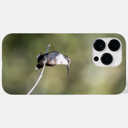 Ruby-Throated Hummingbird Case-Mate iPhone Case (Achterkant (horizontaal))