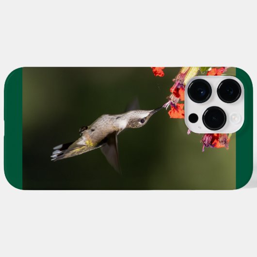 Ruby-Throated Hummingbird Case-Mate iPhone Case (Achterkant (horizontaal))