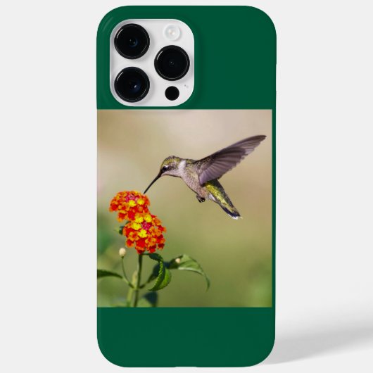 Ruby-Throated Hummingbird Case-Mate iPhone Case (Achterkant)