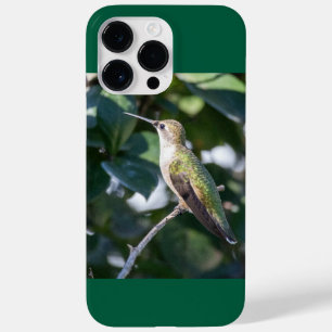 Ruby-Throated Hummingbird Case-Mate iPhone 14 Pro Max Hoesje