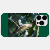 Ruby-Throated Hummingbird Case-Mate iPhone Case (Achterkant (horizontaal))