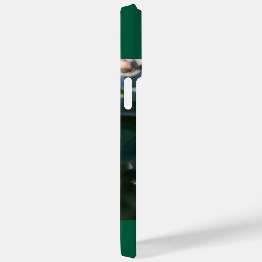 Ruby-Throated Hummingbird Case-Mate iPhone Case (Achterkant / Rechts)