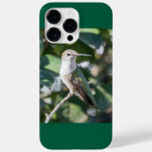 Ruby-Throated Hummingbird Case-Mate iPhone Case (Achterkant)