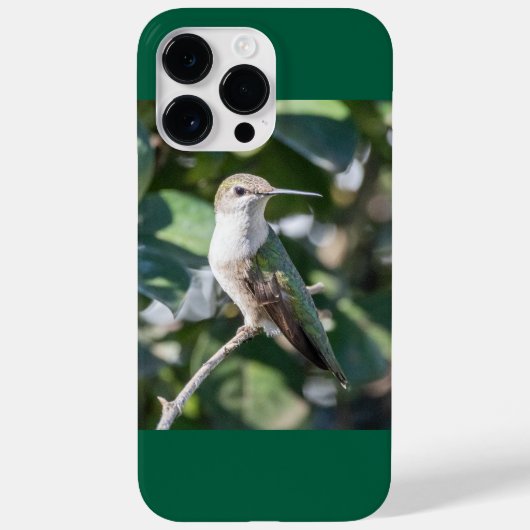 Ruby-Throated Hummingbird Case-Mate iPhone Case (Achterkant)
