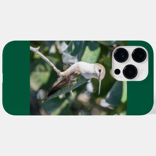 Ruby-Throated Hummingbird Case-Mate iPhone Case (Achterkant (horizontaal))
