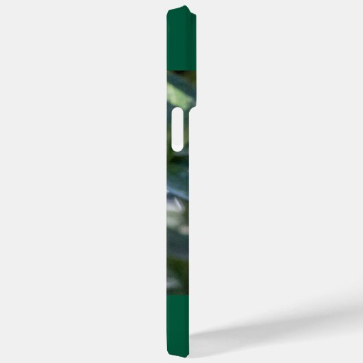 Ruby-Throated Hummingbird Case-Mate iPhone Case (Achterkant / Rechts)