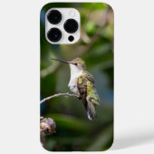 Ruby-Throated Hummingbird Case-Mate iPhone Case (Achterkant)