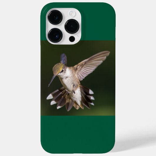 Ruby-Throated Hummingbird Case-Mate iPhone Case (Achterkant)