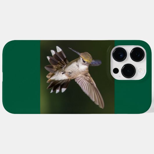Ruby-Throated Hummingbird Case-Mate iPhone Case (Achterkant (horizontaal))
