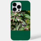 Ruby-Throated Hummingbird Case-Mate iPhone Case (Achterkant)