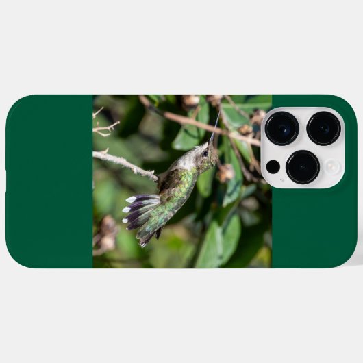 Ruby-Throated Hummingbird Case-Mate iPhone Case (Achterkant (horizontaal))