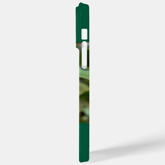 Ruby-Throated Hummingbird Case-Mate iPhone Case (Achterkant / Links)