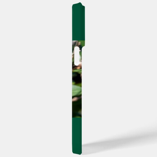 Ruby-Throated Hummingbird Case-Mate iPhone Case (Achterkant / Rechts)