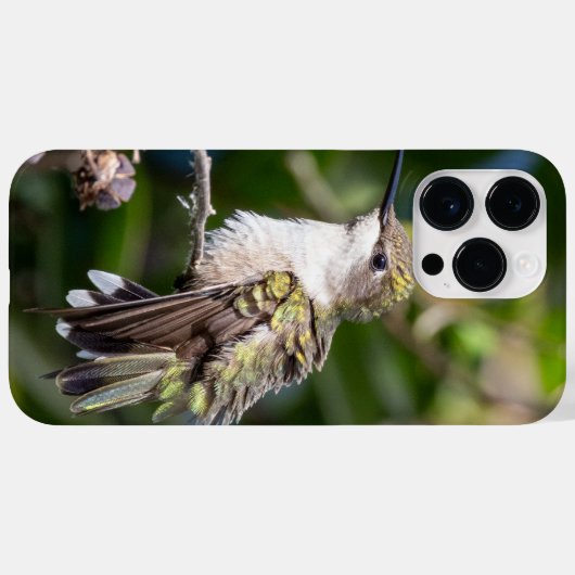 Ruby-Throated Hummingbird Case-Mate iPhone Case (Achterkant (horizontaal))