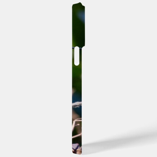 Ruby-Throated Hummingbird Case-Mate iPhone Case (Achterkant / Rechts)