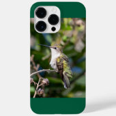 Ruby-Throated Hummingbird Case-Mate iPhone Case (Achterkant)