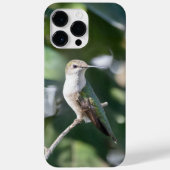 Ruby-Throated Hummingbird Case-Mate iPhone Case (Achterkant)
