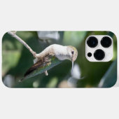 Ruby-Throated Hummingbird Case-Mate iPhone Case (Achterkant (horizontaal))