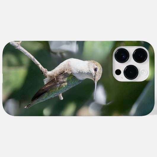 Ruby-Throated Hummingbird Case-Mate iPhone Case (Achterkant (horizontaal))