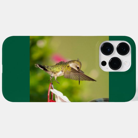 Ruby-Throated Hummingbird Case-Mate iPhone Case (Achterkant (horizontaal))