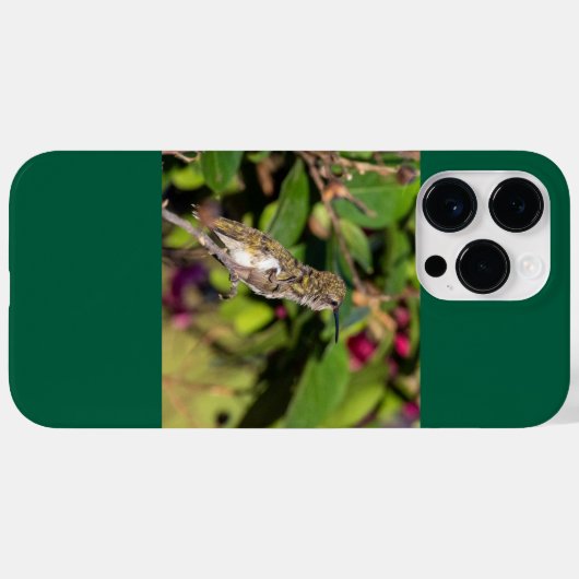 Ruby-Throated Hummingbird Case-Mate iPhone Case (Achterkant (horizontaal))