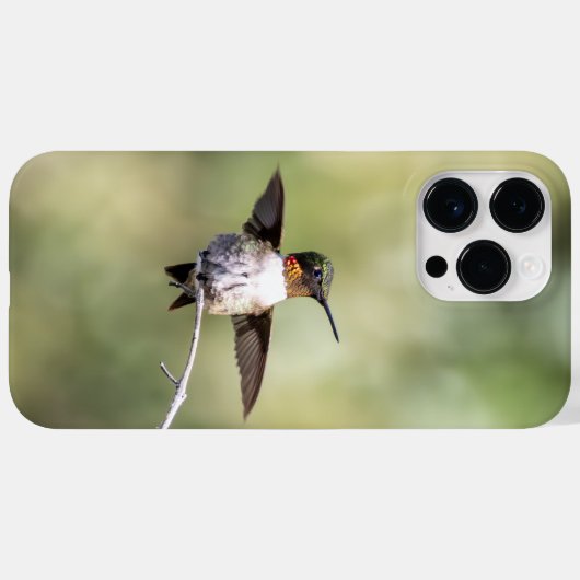 Ruby-Throated Hummingbird Case-Mate iPhone Case (Achterkant (horizontaal))