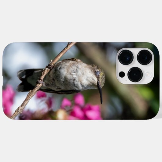 Ruby-Throated Hummingbird Case-Mate iPhone Case (Achterkant (horizontaal))
