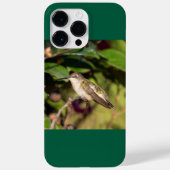 Ruby-Throated Hummingbird Case-Mate iPhone Case (Achterkant)